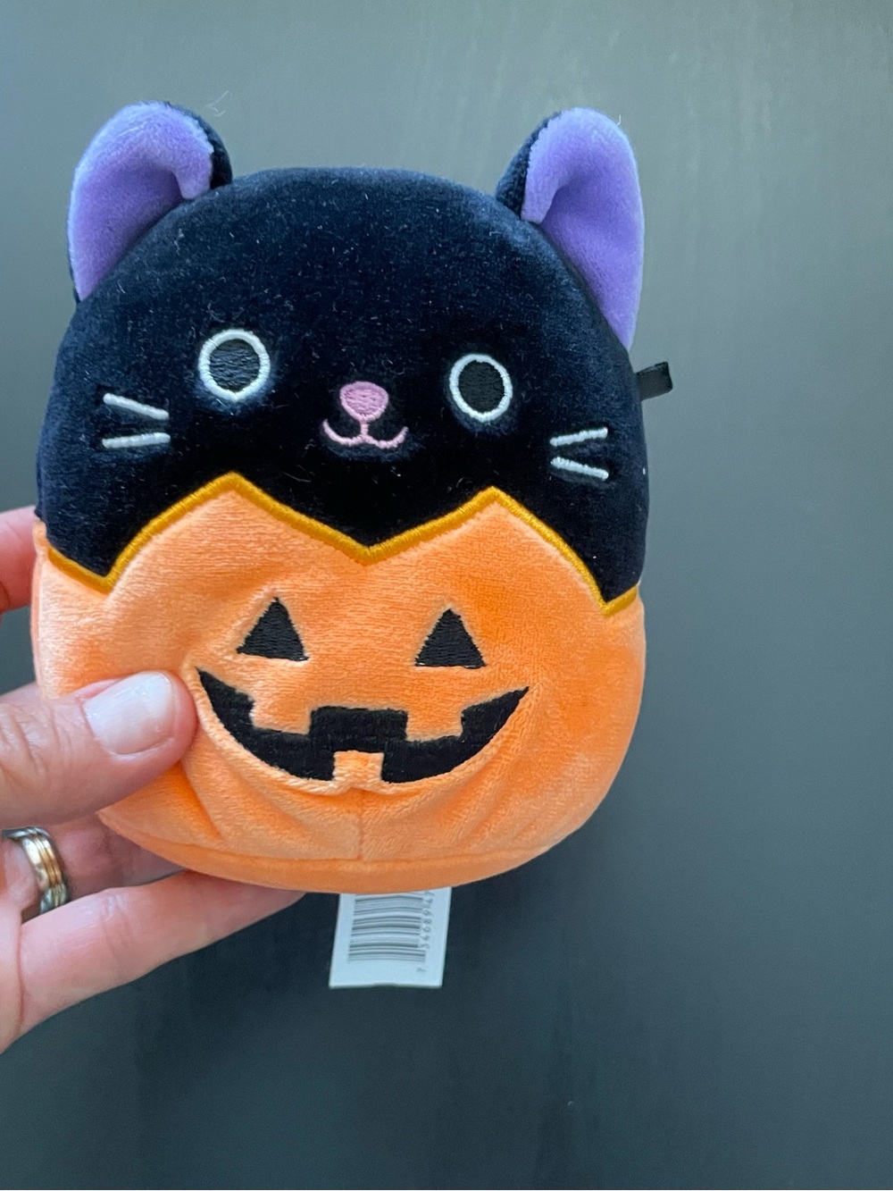 Squishmallows Black & Orange Halloween Cat Pumpkin Plush Accessory